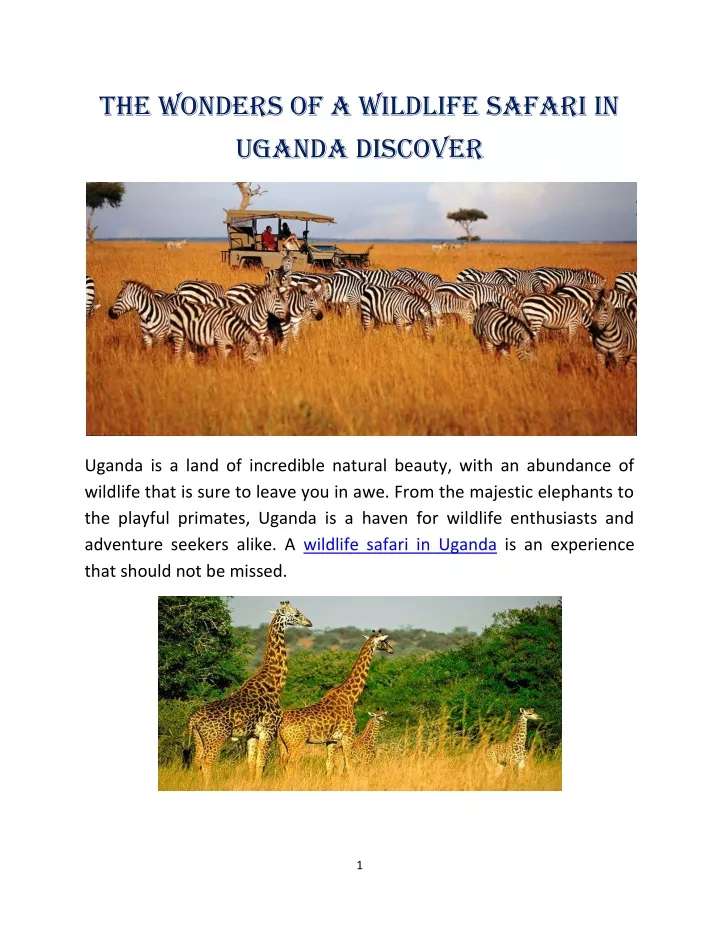 the wonders of a wildlife safari in uganda