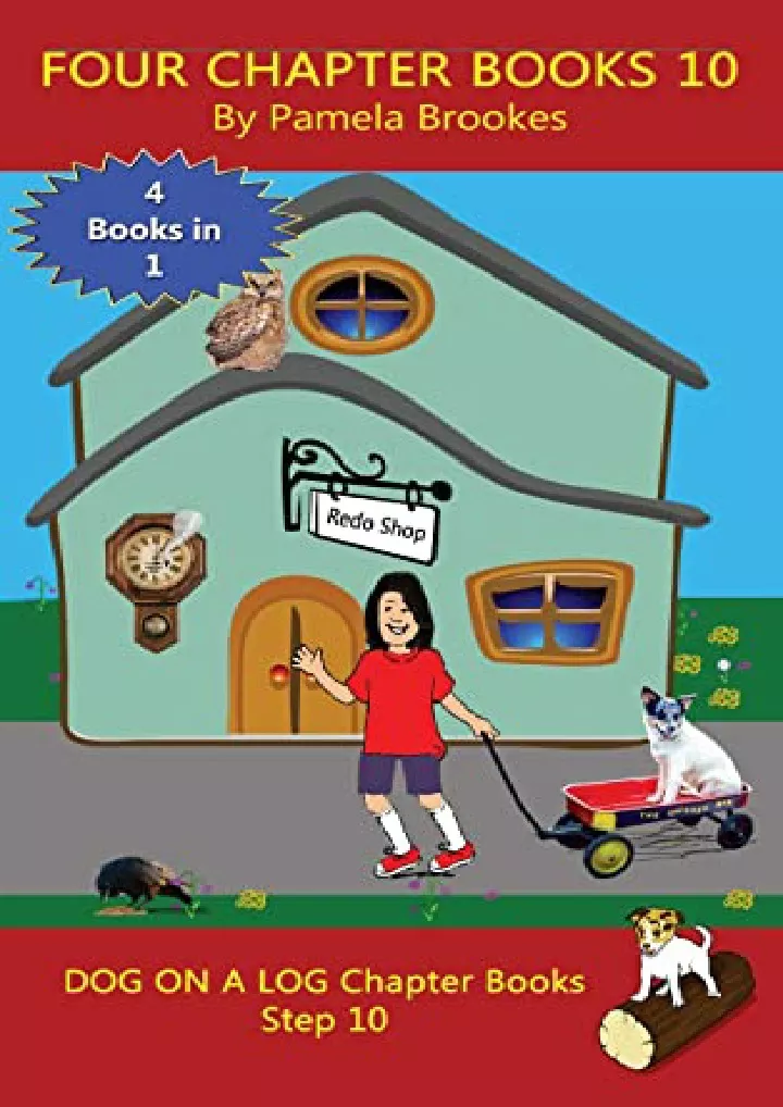 four chapter books 10 sound out phonics books