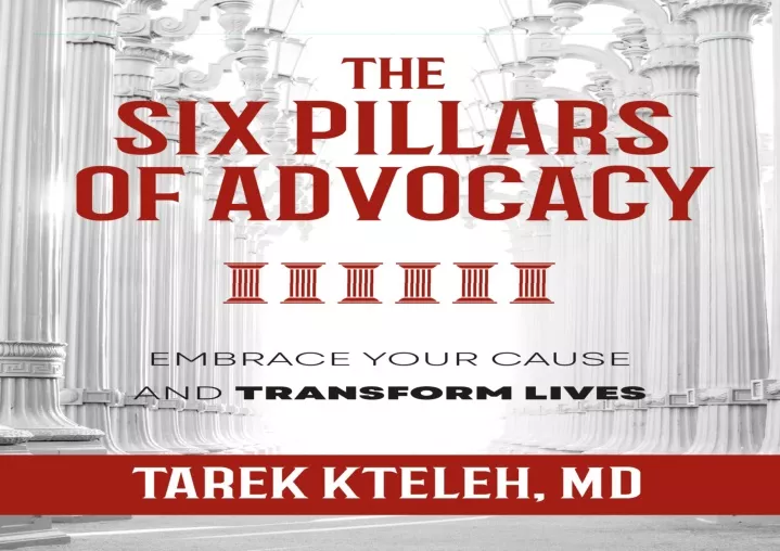 pdf the six pillars of advocacy embrace your