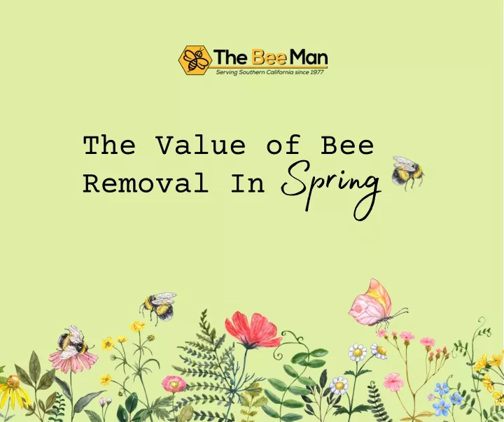 the value of bee removal in spring