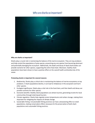Why are sharks so important?