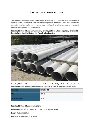 Hastelloy B2 Pipes & Tubes Exporters in India