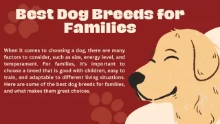Best Dog Breeds for Families