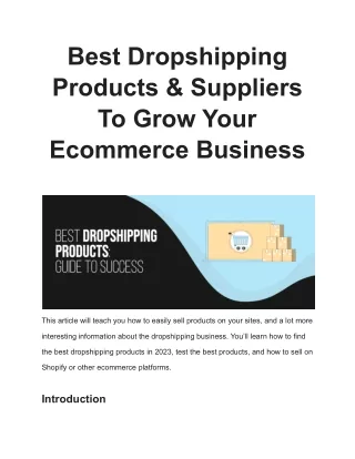Best Dropshipping Products & Suppliers  To Grow Your Ecommerce Business