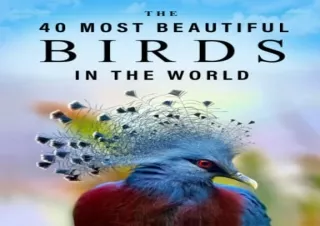Download The 40 Most Beautiful Birds in the World: A full color picture book for