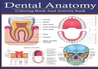PDF Dental Anatomy Coloring Book And Activity Book: A Dental Anatomy And Physiol