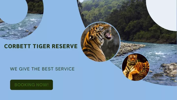 corbett tiger reserve