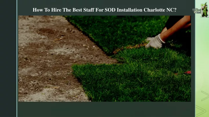 how to hire the best staff for sod installation
