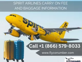Spirit Airlines Carry On fee Flyconumber