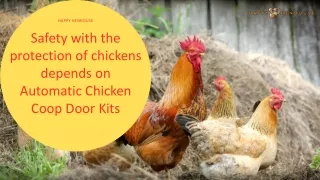 Safety with the protection of chickens depends on Automatic Chicken Coop Door Kits