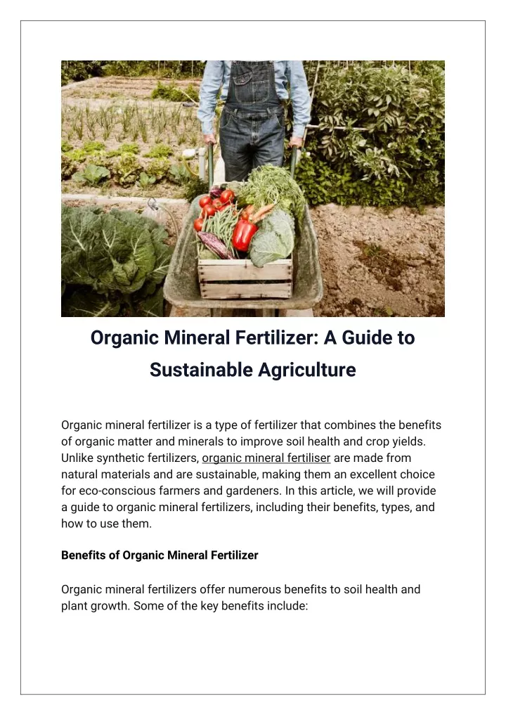 organic mineral fertilizer a guide to sustainable