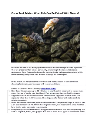 oscar tank mates what fish can be paired with