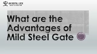What are the Advantages of Mild Steel Gate