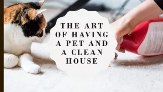 The Art Of Having A Pet And A Clean House