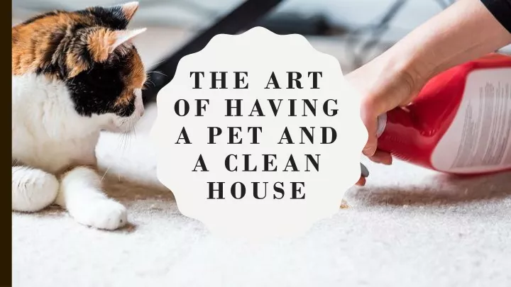 the art of having a pet and a clean house