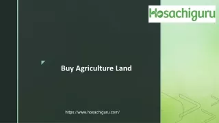 Buy Agriculture Land - hosachiguru farms