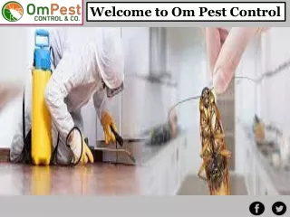 Get Best Pest Control Services at Om Pest Control