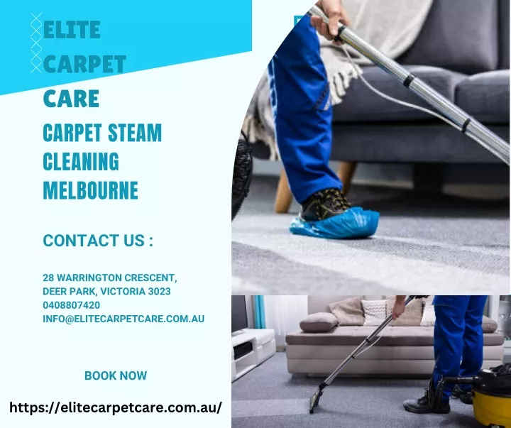 elite carpet care carpet steam cleaning melbourne