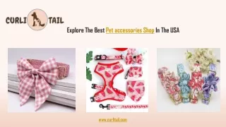Top Rated Pet Accessories Shop in The USA | CurliTail