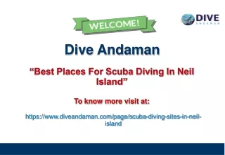 dive andaman