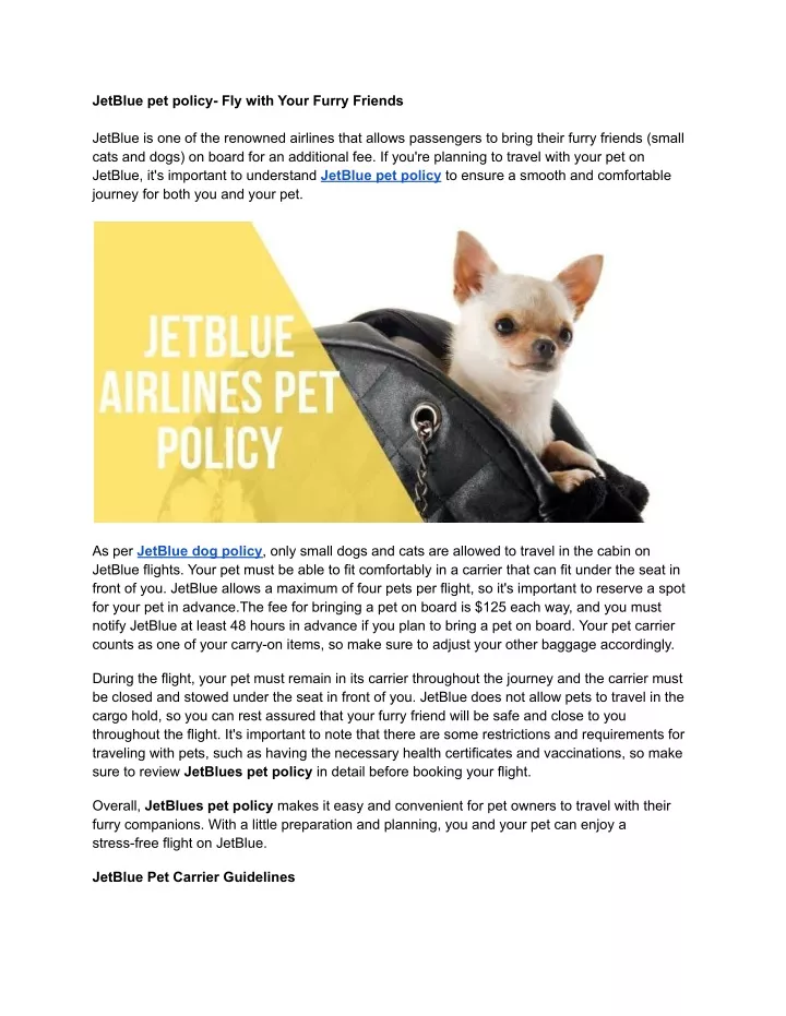 jetblue pet policy fly with your furry friends