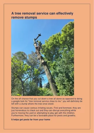 a tree removal service can effectively remove