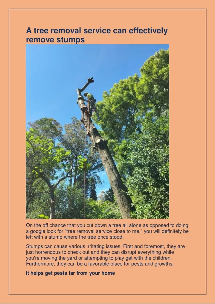 a tree removal service can effectively remove