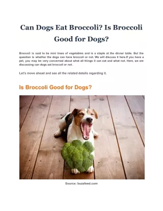 Can Dogs Eat Broccoli Is Broccoli Good for Dogs