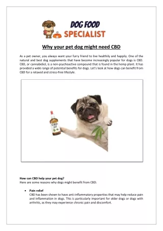 Why your pet dog might need CBD