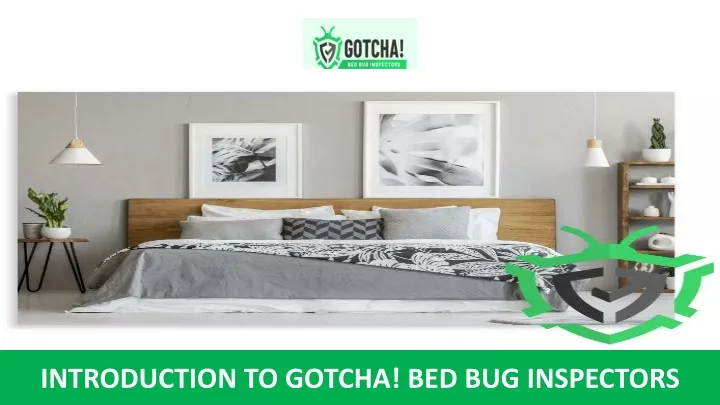 introduction to gotcha bed bug inspectors