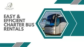 Easy & Efficient Charter Bus Rentals