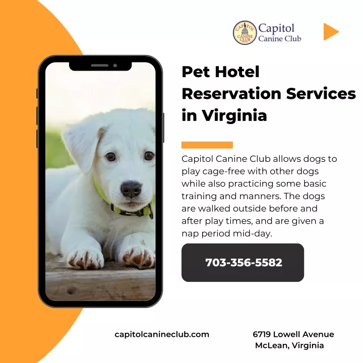 pet hotel reservation services in virginia
