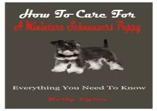 (PDF) How To Care For A Miniature Schnauzer Puppy: Everything You Need To Know F