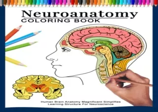 PDF Neuroanatomy Coloring Book | Human Brain Anatomy Magnificent Simplifies Lear