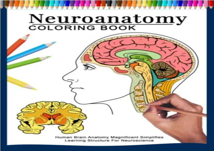 neuroanatomy an illustrated colour text 6th edition pdf download