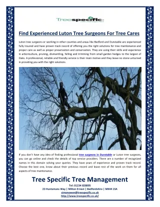 Find Experienced Luton Tree Surgeons for Tree Cares