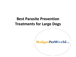 Best Parasite Prevention Treatments for Large Dogs