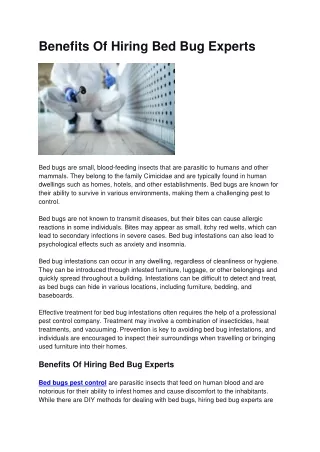 Benefits Of Hiring Bed Bug Experts