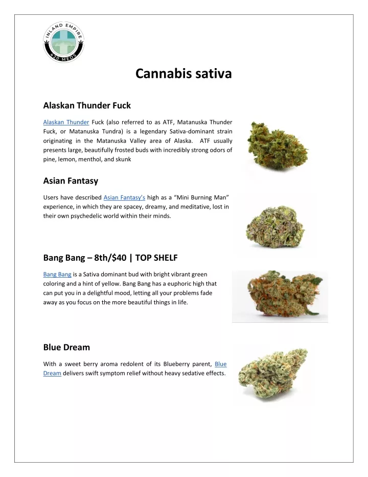 cannabis sativa