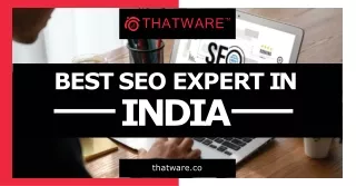 Meet the Best SEO Expert in India: Thatware LLP