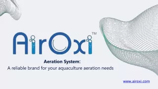 Aeration system that is a reliable method for your aquaculture aeration needs (1)