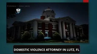 Hire A Professional Domestic Violence Attorney In Lutz, FL To Protect Your Rights