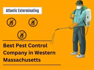 Best Pest Control Company in Western Massachusetts