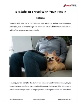 Is It Safe To Travel With Your Pets In Cabin