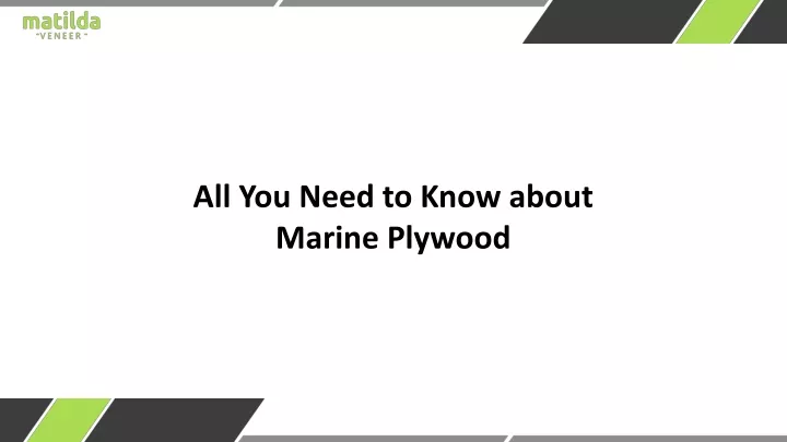 all you need to know about marine plywood