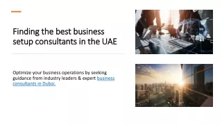 finding the best business setup consultants