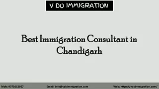 Best Immigration Consultant in Chandigarh