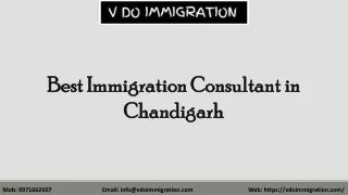 best immigration consultant in chandigarh