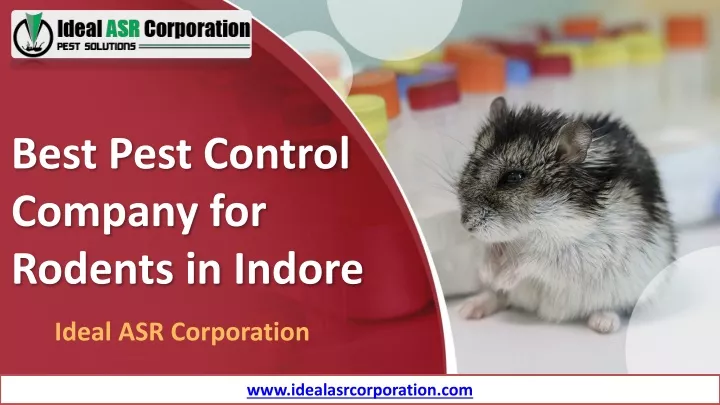 best pest control company for rodents in indore