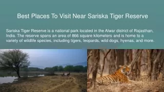 Best Places To Visit Near Sariska Tiger Reserve